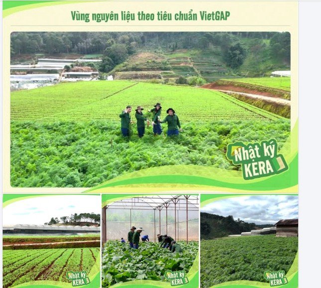 Thực hư vùng nguyên liệu kẹo Kera của Quang Linh Vlogs và Hằng Du Mục ở Đắk Lắk
